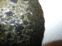 DSCN9975.webp