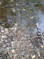 image-36587023.webp