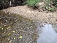 image-3742285168.webp