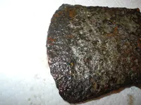 DSCN9977.webp