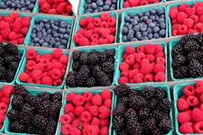 berries%u00252B6%253A27.webp