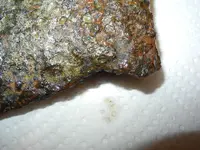 DSCN9978.webp