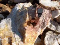 Rooster Red Rock 03-26-14 020.webp