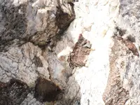 P3312520.webp