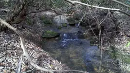 13.webp