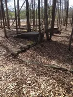 image-2485102547.webp