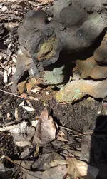 rock 2.webp
