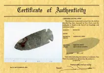 Tom Davis COA.webp