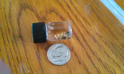 IMAG0994.webp
