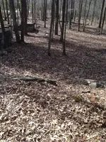 image-2587468471.webp