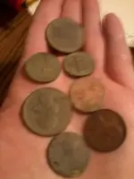 coins.webp coins.webp