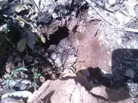 claim work 023.webp