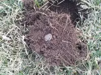 2014-03-26 19.19.17.webp