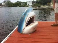 image-2054905922.webp