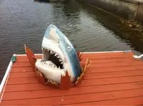 image-669329671.webp