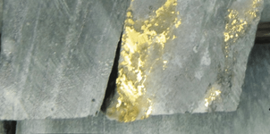 Gold_veins_niogold_mining_corporation.png