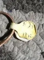 tag ring.webp