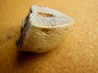 DSCN7389.webp