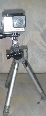 Go Pro.webp