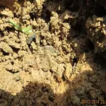 2014 04 12_7203_edited-1.webp