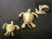 0331TURTLE.webp