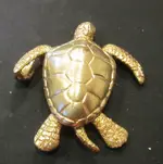 0331TURTLE3.webp