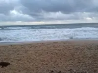 image-1275691471.webp