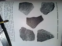 photo copy 7.webp