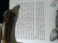 photo copy 8.webp