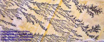 pseudofossil_dendrites.webp