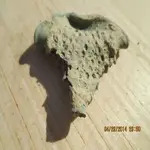 2014 04 20_7219_edited-1.webp