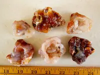 DSCN5505.webp