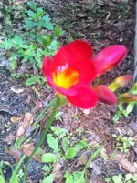 image-847420843.webp