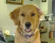 0314141309.webp