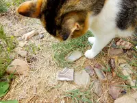 FSCN8853.webp