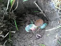 coin spill.webp