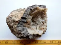RSCN8251.webp