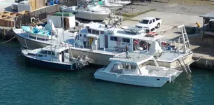 GME_Flota_de_Florida.webp