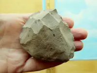 RSCN7827.webp
