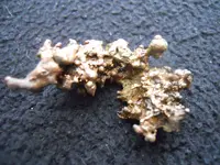 DSCN5856.webp