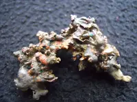 DSCN5859.webp