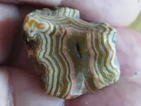 DSCF6717.webp