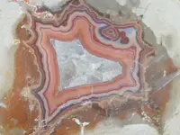 DSCF6718.webp