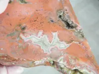 DSCF6719.webp