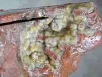 DSCF6720.webp