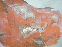 DSCF6721.webp