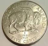 05 buffalo detached leg error.webp
