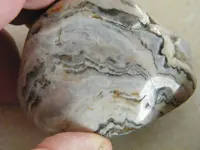 DSCF6722.webp
