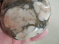 DSCF6723.webp
