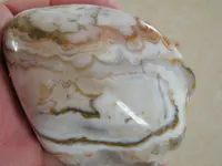 DSCF6724.webp